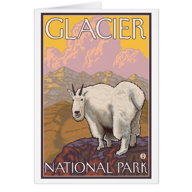 Mountain Goat - Glacier National Park, MT (Front)