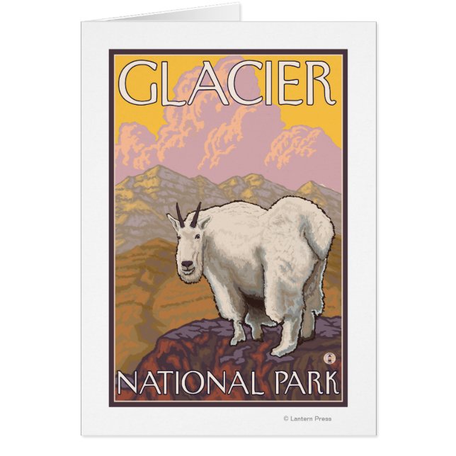 Mountain Goat - Glacier National Park, MT (Front)