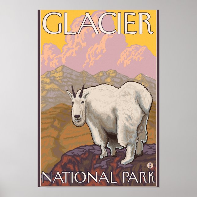 Mountain Goat - Glacier National Park, MT Poster (Front)