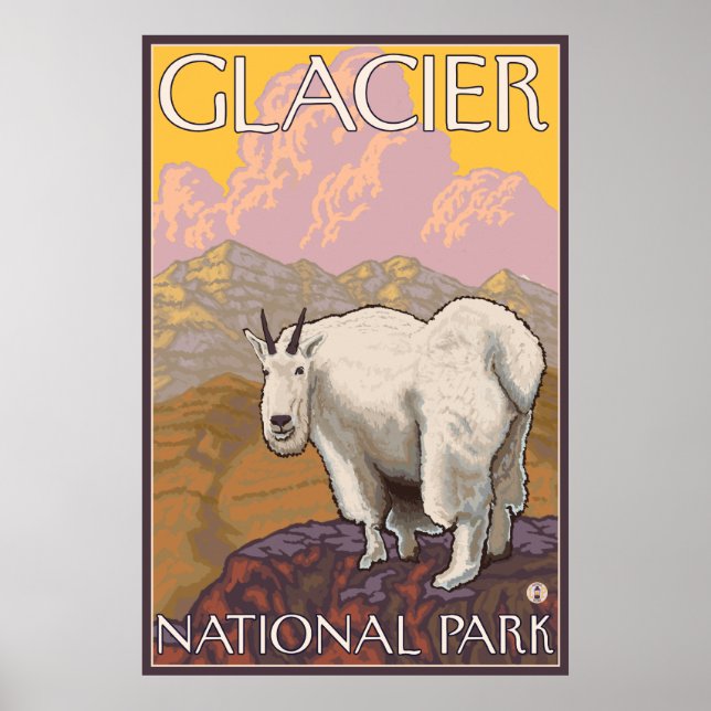 Mountain Goat - Glacier National Park, MT Poster (Front)