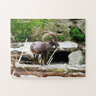 Mountain goat jigsaw puzzle