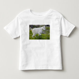 Mountain goat kid at Logan Pass in Glacier Toddler T-Shirt