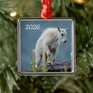 Mountain Goat Kid, Glacier National Park, Montana Metal Tree Decoration