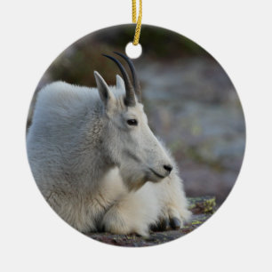 mountain goat resting ceramic tree decoration