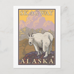 Mountain Goat - Skagway, Alaska Postcard