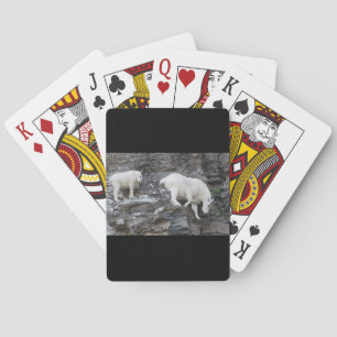 mountain goat with baby playing cards