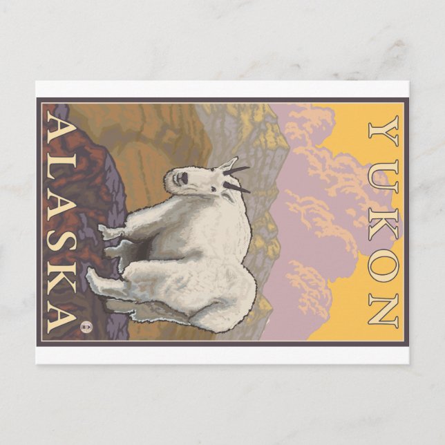 Mountain Goat - Yukon, Alaska Postcard (Front)
