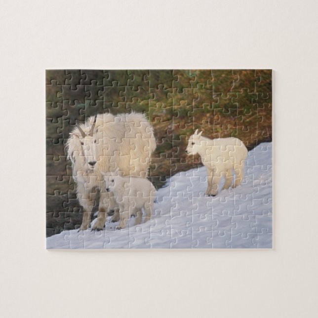 mountain goats jigsaw puzzle (Horizontal)