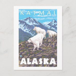 Mountain Goats Scene - Katmai, Alaska Postcard