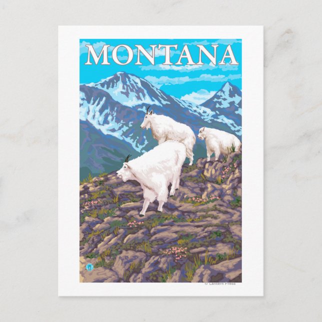 Mountain Goats Scene - Montana Postcard (Front)