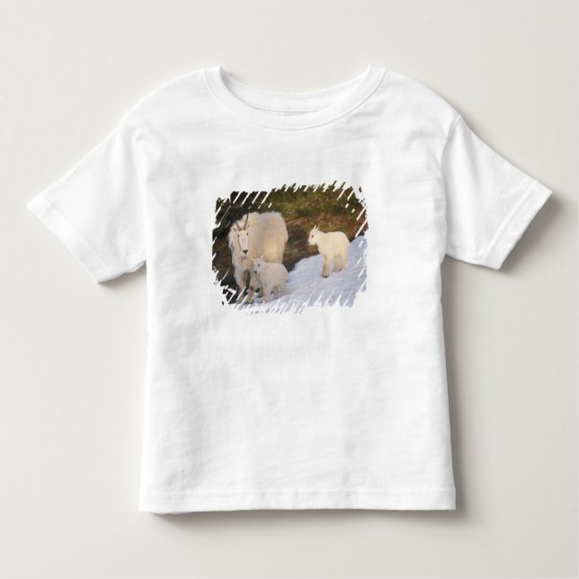 mountain goats toddler T-Shirt (Front)