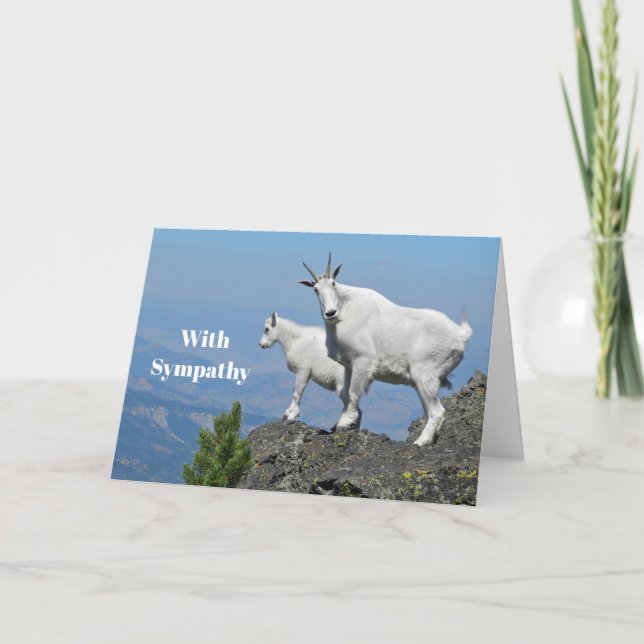 Mountain Goats White Wildlife Photo Sympathy Card (Front)