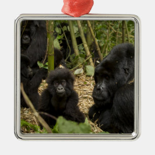 Mountain Gorilla, adult with young 2 Metal Tree Decoration