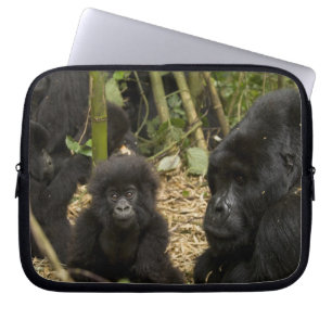 Mountain Gorilla, adult with young Laptop Sleeve