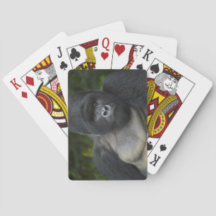 Mountain Gorilla and Silverback 5 Playing Cards