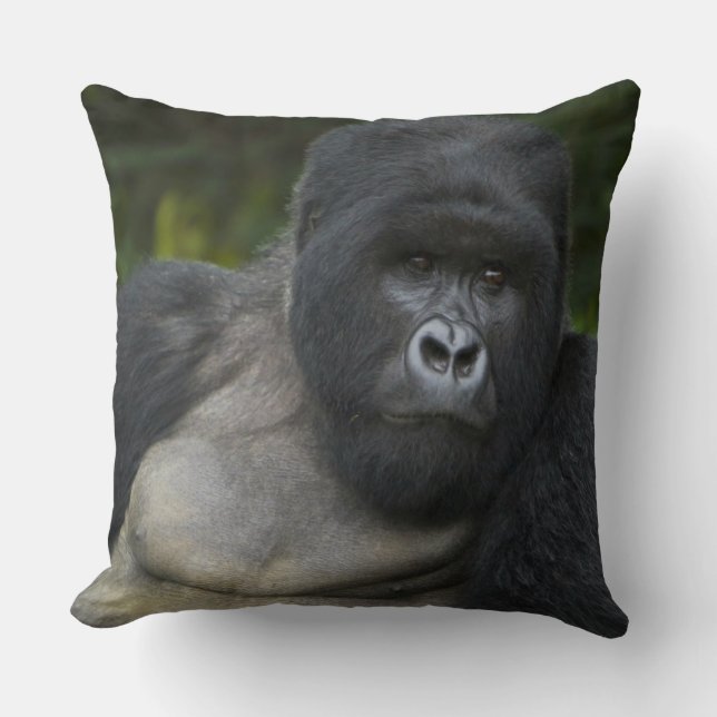 Mountain Gorilla and Silverback Cushion (Front)