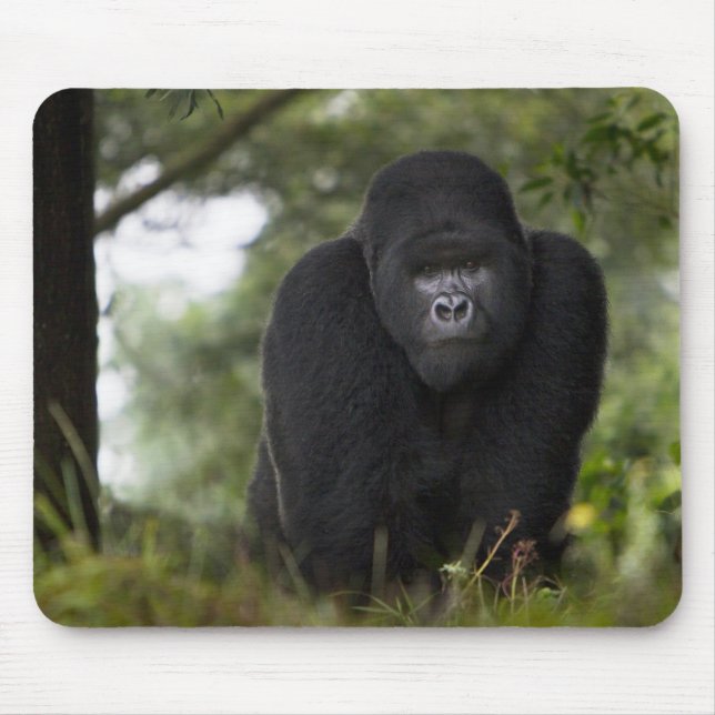 Mountain Gorilla and Silverback Mouse Pad (Front)
