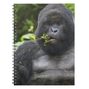 Mountain Gorilla and Silverback Notebook
