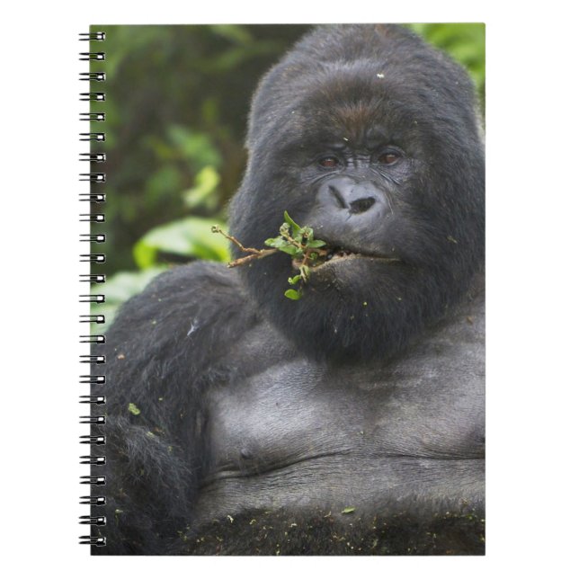 Mountain Gorilla and Silverback Notebook (Front)