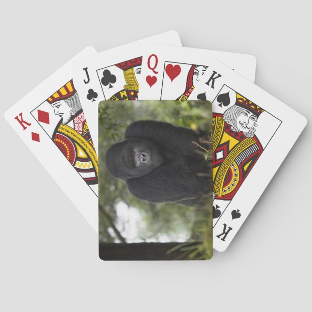 Mountain Gorilla and Silverback Playing Cards (Back)