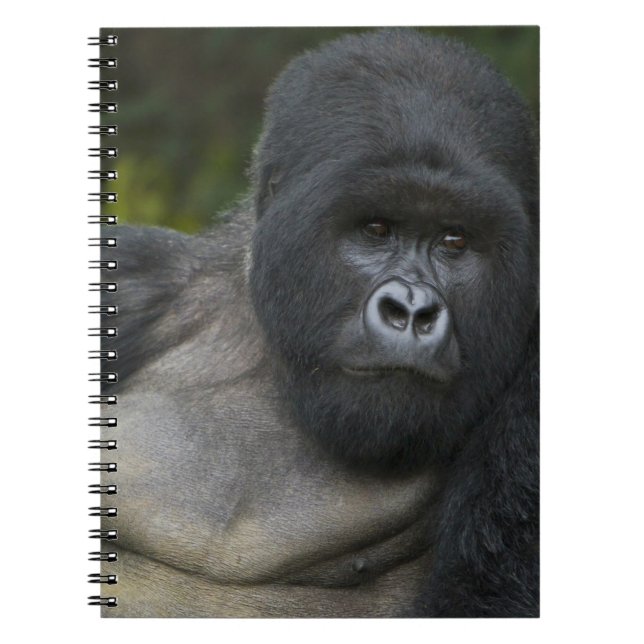 Mountain Gorilla and Silverback Spiral Notebook (Front)