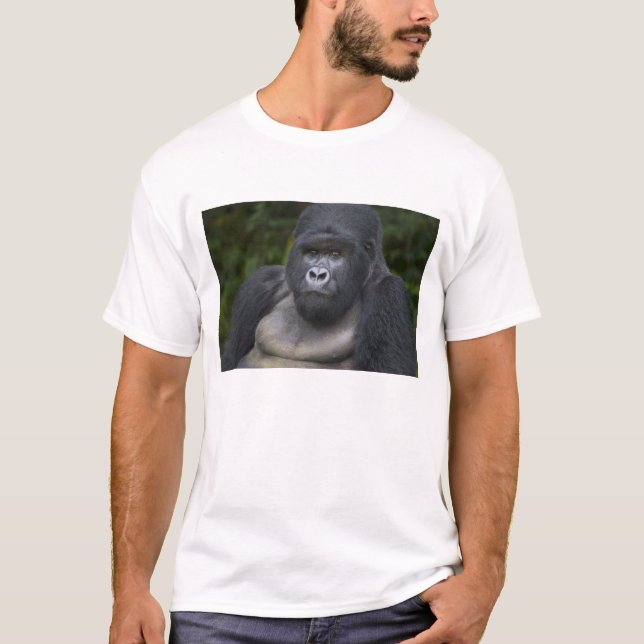 Mountain Gorilla and Silverback T-Shirt (Front)