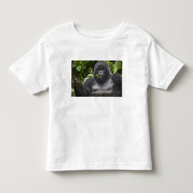 Mountain Gorilla and Silverback Toddler T-Shirt (Front)