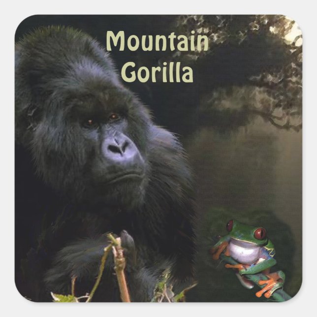 Mountain Gorilla & Frog African Wildlife Sticker (Front)