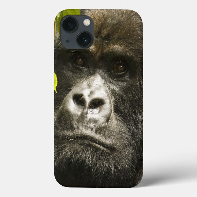 Mountain Gorilla, Gorilla beringei beringei, Case-Mate iPhone Case (Back)