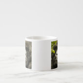 Mountain Gorilla, Gorilla beringei beringei, Espresso Cup (Front)