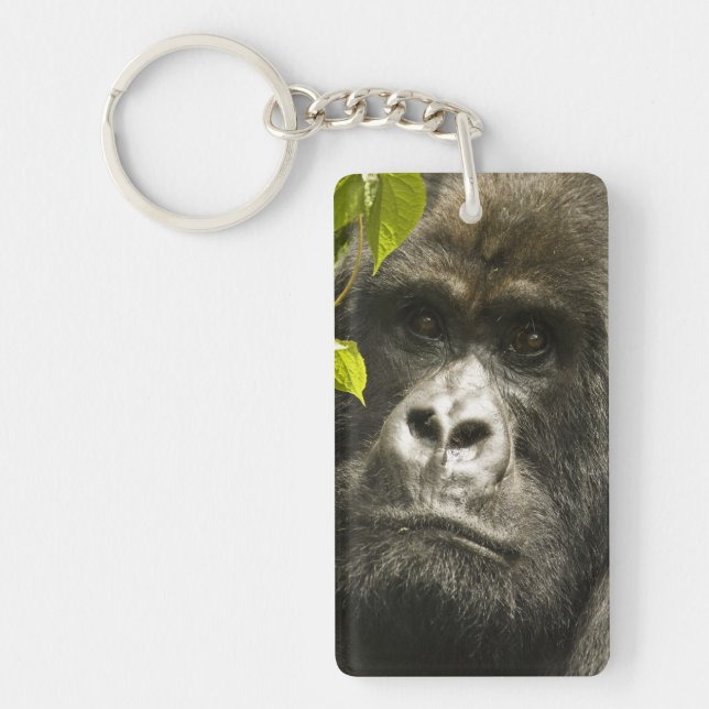 Mountain Gorilla, Gorilla beringei beringei, Key Ring (Front)