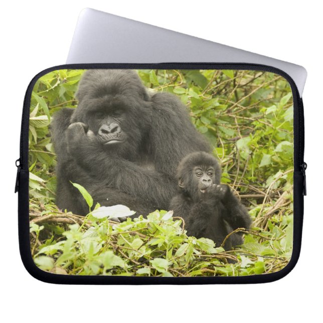 Mountain Gorilla, Gorilla beringei (formerly G. Laptop Sleeve (Front)
