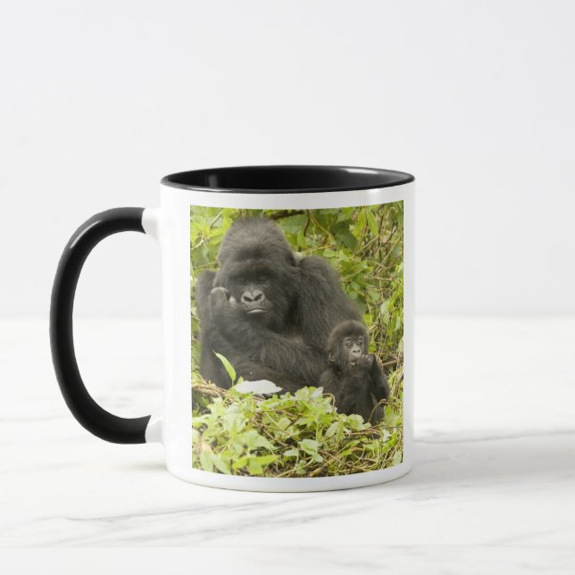 Mountain Gorilla, Gorilla beringei (formerly G. Mug (Left)