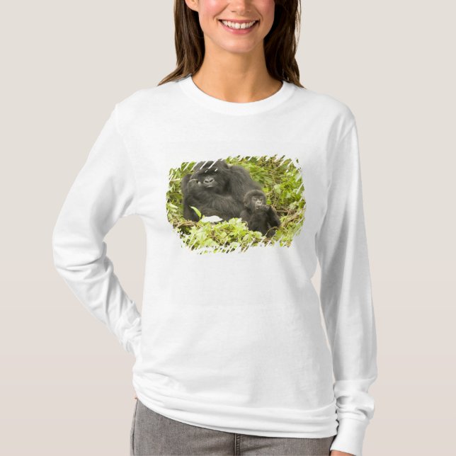 Mountain Gorilla, Gorilla beringei (formerly G. T-Shirt (Front)