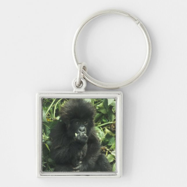 Mountain Gorilla, (Gorilla gorilla beringei), Key Ring (Front)