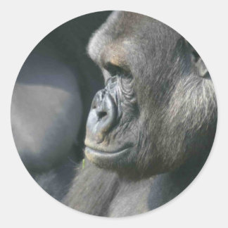 Mountain Gorilla Stickers