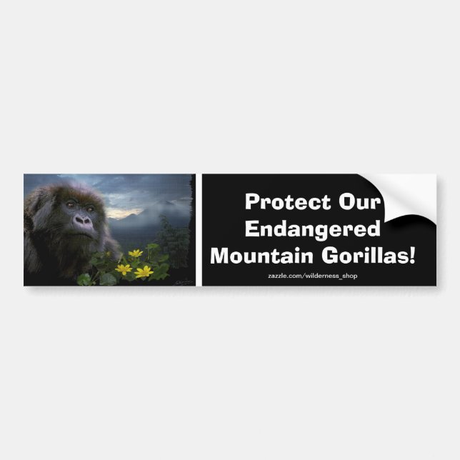 Mountain Gorillas Wildlife Support Bumper Sticker (Front)