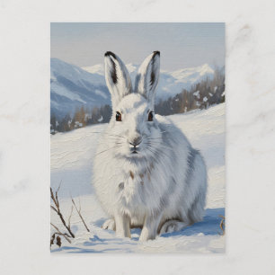 Mountain Hare in Scotland Travel Postcard