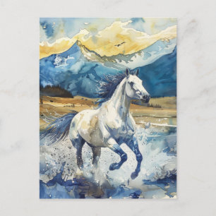Mountain Horse Postcard