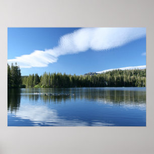 Mountain Lake, Geese Poster