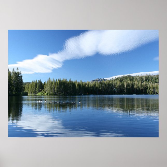 Mountain Lake, Geese Poster (Front)
