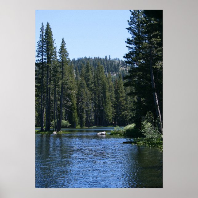 Mountain Lake, Pine Tree Forest Poster (Front)