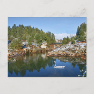 Mountain Lake, Swan, Reflections Postcard