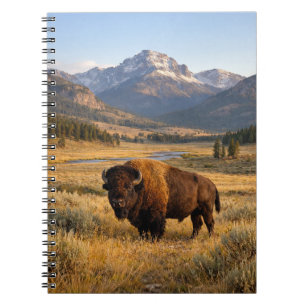 Mountain Landscape American Bison Notebook