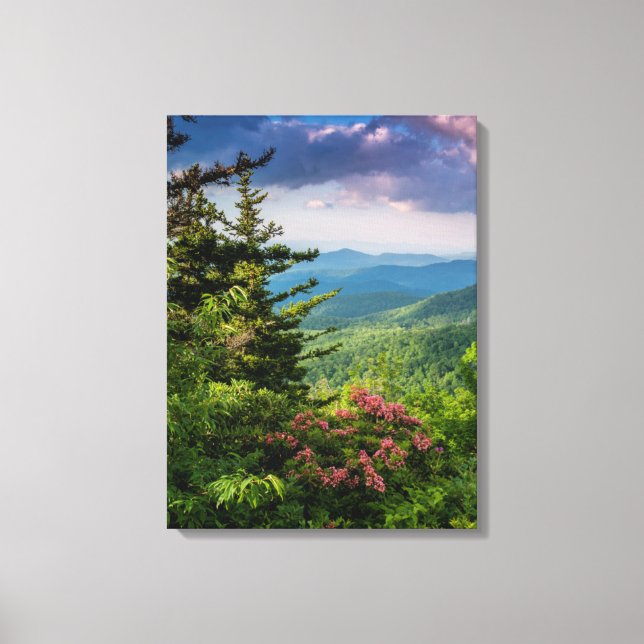 Mountain Laurel at Sunrise Canvas Print (Front)