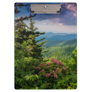 Mountain Laurel at Sunrise Clipboard