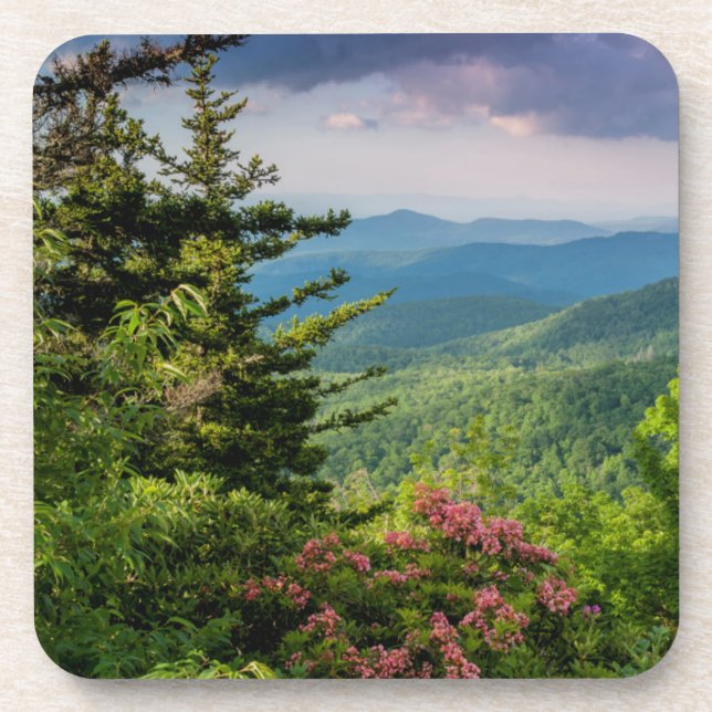 Mountain Laurel at Sunrise Coaster (Front)
