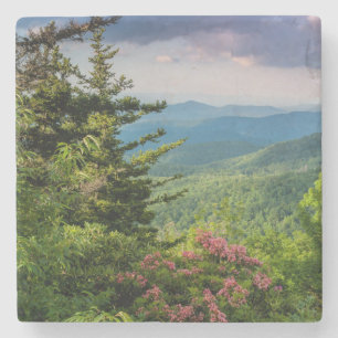 Mountain Laurel at Sunrise Stone Coaster