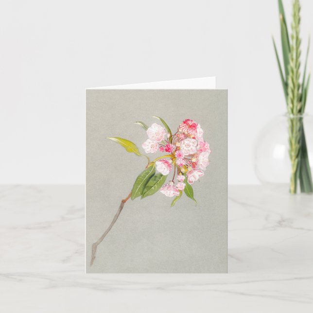 Mountain Laurel Blossom Blank Note Card (Front)