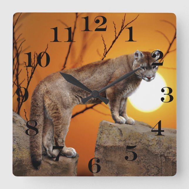 Mountain lion at sunset square wall clock (Front)